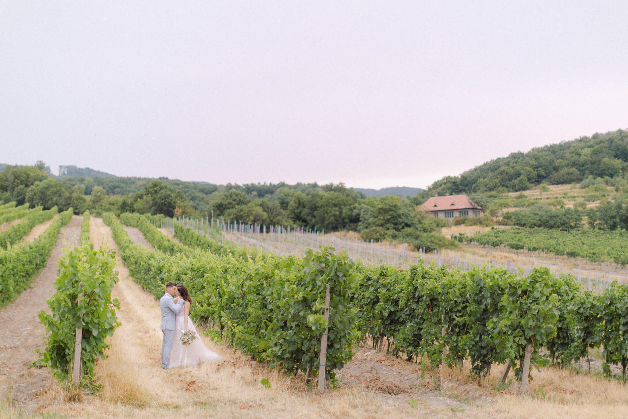 Svadobný fotograf- fotenie vo vinohrade